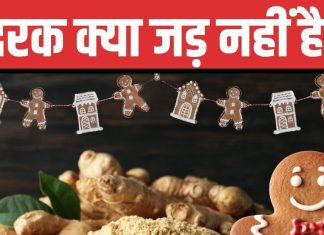 Christmas 2024: क्रिसमस और अदरक का क्यों है गहरा नाता? इसकी होती थी तस्करी, मसाला नहीं, कभी दवा हुआ करता था ये