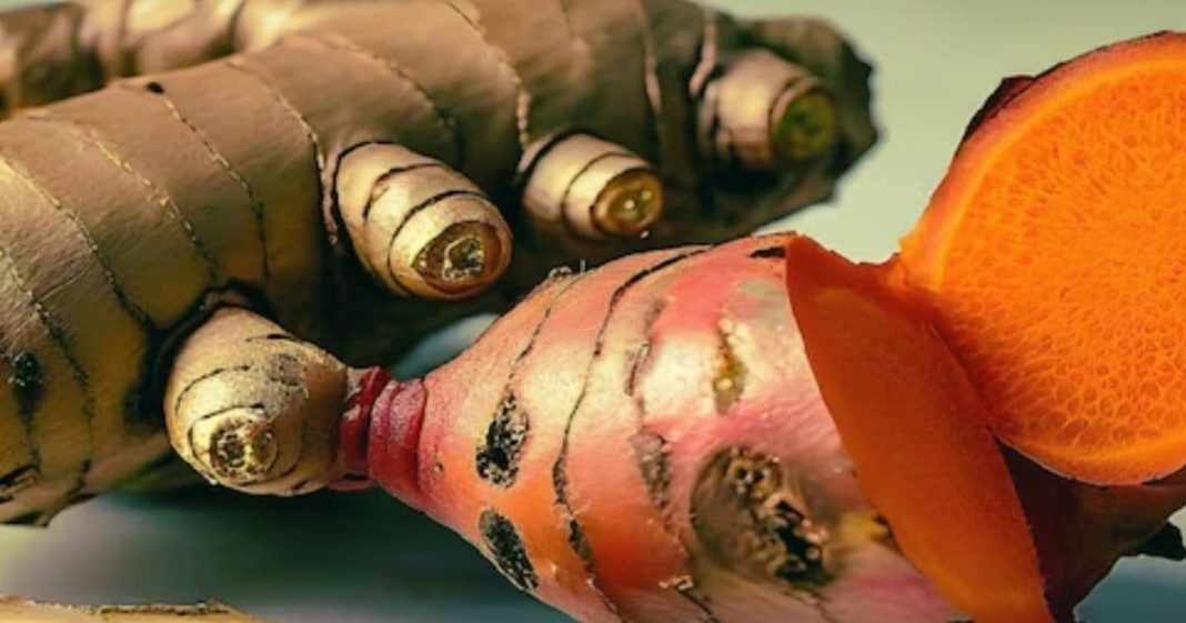 ayurvedic benefits of ginger and turmeric for body sa