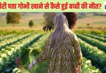 पत्ता गोभी खाना, 14 साल की बच्ची के लिए बन गया काल, 8 दिन की जद्दोजहद के बाद हो गई मौत, आखिर इस पत्ते ने कैसे ले ली जान