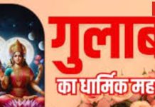 Shivling Puja: भगवान शिव पर नहीं चढ़ाते लाल गुलाब, जानिए किस रंग का फूल चढ़ाना शुभ! परेशानियां होंगी दूर!