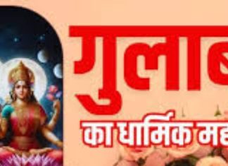 Shivling Puja: भगवान शिव पर नहीं चढ़ाते लाल गुलाब, जानिए किस रंग का फूल चढ़ाना शुभ! परेशानियां होंगी दूर!