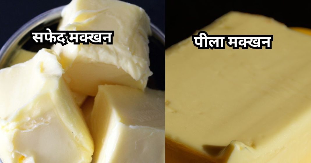 क्या है पीले और सफेद मक्खन में अंतर, जान के चकरा जाएगा माथा, फायदे में ये वाला नंबर वन