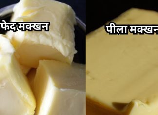 क्या है पीले और सफेद मक्खन में अंतर, जान के चकरा जाएगा माथा, फायदे में ये वाला नंबर वन