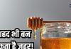 भूलकर भी शहद का ऐसे न करें सेवन, वरना हो सकता है जहर, जानें जरूरी बात