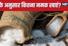 क्या है हर दिन नमक खाने की सही मात्रा? 1 से 65 की उम्र में कितना हो Salt इनटेक