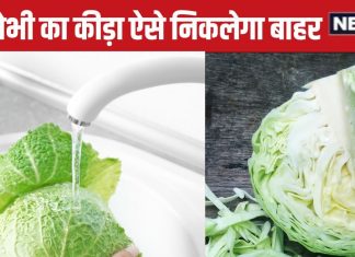 सिर्फ पानी में साफ करने से नहीं निकलेगा पत्तागोभी में चिपका खतरनाक कीड़ा, ये है 100% इसे काटने धोने, पकाने का सही तरीका