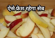 बच्चों को लंच बॉक्स में देना है सेब? इसे काला होने से बचाने के लिए करें ये काम, रहेगा फ्रेश और मीठा
