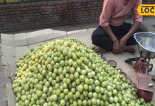 Benefits of Amla for health treatment weight loss and skin glowing how to eat aavla ke fayde – Bharat.one हिंदी