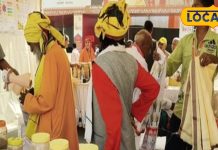 मिल गया अस्थमा का असली इलाज! इन जगलों में मिली दुर्लभ जड़ी-बूटियां