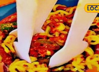 5 Star होटल में 4 साल की नौकरी, फिर एजुकेशन हब में खोला रेस्टोरेंट….