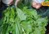 सर्दियों में इस साग की जबरदस्त होती है डिमांड, धीमी आंच पर ऐसे करें तैयार