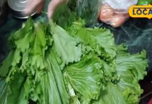 सर्दियों में इस साग की जबरदस्त होती है डिमांड, धीमी आंच पर ऐसे करें तैयार