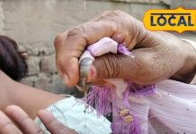 इन बीमारियों का कत्ल कर देगा दादी-नानी के जमाने का ये पेड़, मलेरिया तो पास भी नहीं भटकेगा!