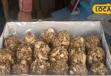 इन लड्डुओं के आगे नहीं टिक पाएंगे बेसन-मोतीचूर के लड्डू, ऐसे होते हैं तैयार