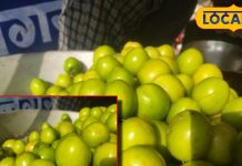 सेब को टक्कर देता है ये फल, खाने से शरीर में आ जाती है चीते जैसी फु्र्ती, कमजोर हड्डियों को बनाता है मजबूत