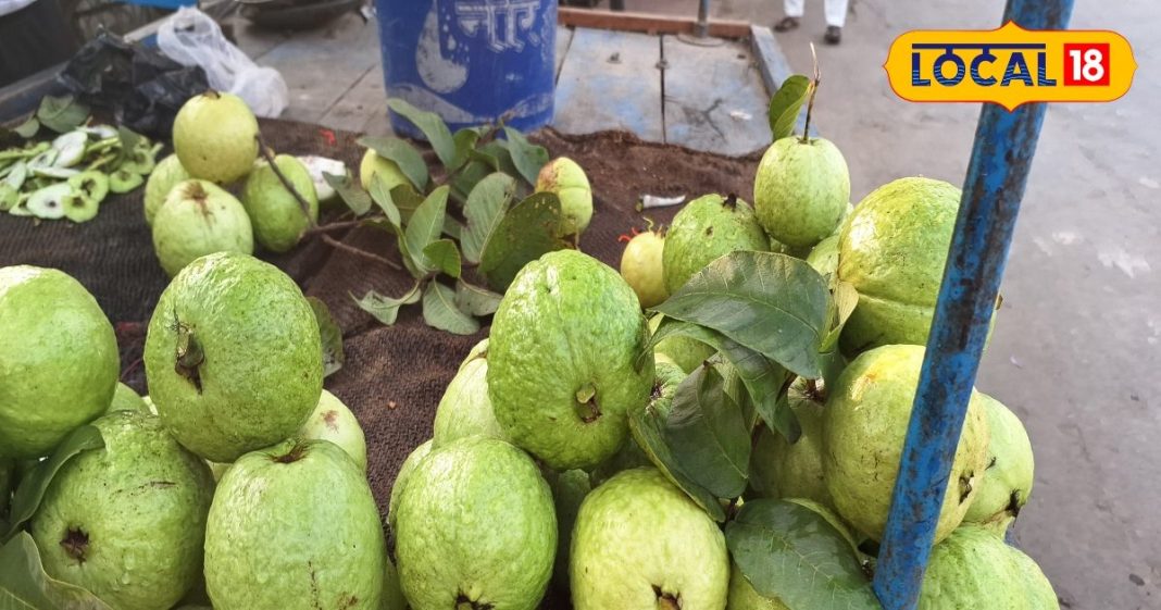 कमाल का है ताइवानी अमरूद, विटामिन्स से होता है भरपूर, खाने से चेहरे की….