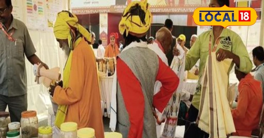 छत्तीसगढ़ के जंगलों में छुपा है गठिया का इलाज, जड़ी-बूटियों से पाएं दर्द में राहत, जान लें इस्तेमाल का तरीका