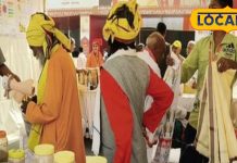 छत्तीसगढ़ के जंगलों में छुपा है गठिया का इलाज, जड़ी-बूटियों से पाएं दर्द में राहत, जान लें इस्तेमाल का तरीका