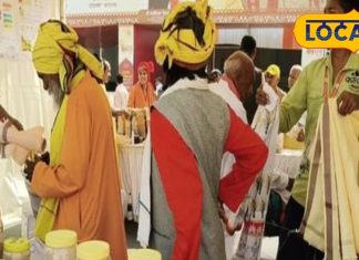 छत्तीसगढ़ के जंगलों में छुपा है गठिया का इलाज, जड़ी-बूटियों से पाएं दर्द में राहत, जान लें इस्तेमाल का तरीका