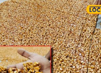 सर्दियों में लोगों की पहली पंसद है ये मिठाई,स्वाद के साथ सेहत का रखती है ख्याल