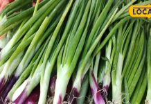 आंखों की समस्या हो या हड्डियों की मजबूती, हरी प्याज खाने से मिलेंगे फायदे