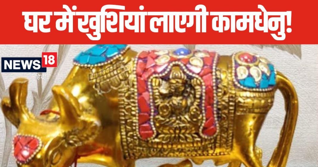 कार्य स्थल और ऑफिस की सही दिशा में रखें कामधेनु गाय की मूर्ति, कहां रखने से बचें, जानें वास्तु शास्त्र के सही नियम
