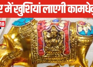 कार्य स्थल और ऑफिस की सही दिशा में रखें कामधेनु गाय की मूर्ति, कहां रखने से बचें, जानें वास्तु शास्त्र के सही नियम