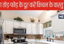 आपके किचन में भी है वास्तु दोष? बिना तोड़ फोड़ के ठीक करने के लिए एक्सपर्ट से जानें उपाय, जल्द नजर आएगा फर्क!
