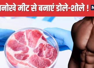 न झटका न हलाला, बिना जानवर काटे इस तरह तैयार हो रहा मीट ! लोगों को खूब आ रहा पसंद, सेहत के लिए भी फायदेमंद