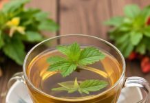 lemon balm benefits for natural weight loss and simple recipe sa