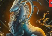 Capricorn Annual Horoscope 2025: मकर वालों को साढ़ेसाती से मिलेगी मुक्ति, खुशियों का होगा नया साल, पढ़ें अपना वार्षिक राशिफल