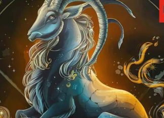 Capricorn Annual Horoscope 2025: मकर वालों को साढ़ेसाती से मिलेगी मुक्ति, खुशियों का होगा नया साल, पढ़ें अपना वार्षिक राशिफल