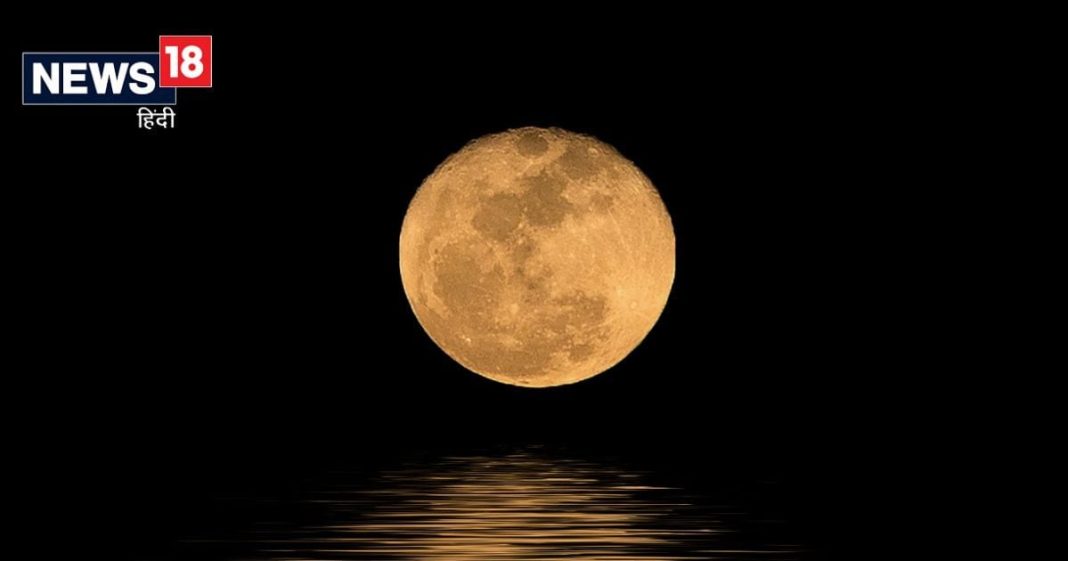 Margashirsha Purnima 2024: मार्गशीर्ष पूर्णिमा के दिन करें उपाय, तुलसी के गमले में रख दें यह 1 चीज, मां लक्ष्मी होंगी प्रसन्न