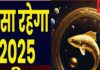 Pisces Annual Horoscope 2025: नए साल में शनि बढ़ाएंगे टेंशन, नौकरी में करनी होगी कड़ी मेहनत! पढ़ें मीन का वार्षिक राशिफल