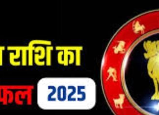 Aries Annual Horoscope 2025: कैसा रहेगा मेष राशिवालों का नया साल? जानें करियर, लव और सेहत का हाल, करें ये उपाय