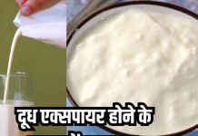 क्या एक्सपायरी दूध को वापस कर सकते हैं यूज? फॉलो करें ये 3 टिप्स, नहीं होगा वेस्ट