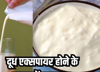 क्या एक्सपायरी दूध को वापस कर सकते हैं यूज? फॉलो करें ये 3 टिप्स, नहीं होगा वेस्ट