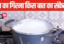 अक्सर गैस पर रखा दूध उफन कर आ जाता है बाहर? ज्योतिष शास्त्र में किस बात के हैं संकेत, जानें दूध का गिरना शुभ या अशुभ