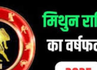 Gemini Annual Horoscope 2025: नए साल में मिथुन राशिवालों की शादी की बात होगी पक्की! जानें कैसे रहेंगे नववर्ष के 12 माह