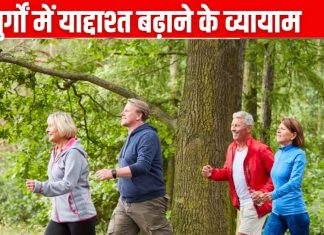50 से 83 की आयु वाले बुजुर्ग करेंगे ऐसे एक्सरसाइज तो बढ़ेगी याददाश्त, शोध में खुलासा, 24 घंटे तक मूड बना रहेगा बेहतर