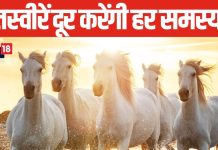 Vastu Tips: वास्तु दोष ने कर रखा है परेशान? घर में हमेशा बनी रहती है नकारात्मकता, 5 पेंटिंग्स लगाने से मिलेगी राहत!
