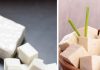 paneer vs tofu for weight loss benefits and nutrition comparison sa