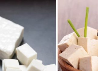 paneer vs tofu for weight loss benefits and nutrition comparison sa