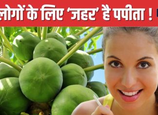 ऐसे लोगों के लिए नुकसानदायक है पपीता ! सेवन करने से पहले 100 बार सोचें, वरना पहुंच जाएंगे हॉस्पिटल