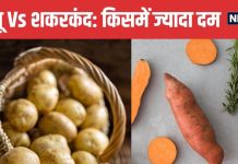 Potato Vs Sweet Potato: आलू ज्यादा फायदेमंद या शकरकंद? डाइटिशियन ने बताई चौंकाने वाली बात, आप भी जानें