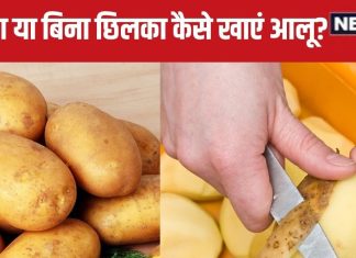 इस सब्जी के छिलके में छिपे हैं ढेरों फायदे, न करें छील कर खाने की गलती, आंतों की होगी सफाई, जानें 8 बड़े फायदे