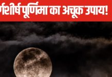 Margashirsha Purnima 2024: विवाह में हो रही देर, मार्गशीर्ष पूर्णिमा के दिन लगाएं ये खास पौधा, हर काम होंगे पूरे