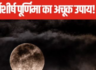 Margashirsha Purnima 2024: विवाह में हो रही देर, मार्गशीर्ष पूर्णिमा के दिन लगाएं ये खास पौधा, हर काम होंगे पूरे