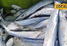 benefits ribbon fish omega 3 tropical seafood protein vitamins sa