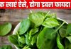 क्या आप कर रहे हैं पालक का सही से सेवन? इन 5 फूड कॉम्बिनेशन के साथ खाएं ये हरा पत्ता, आयरन, विटामिंस का मिलेगा डबल डोज